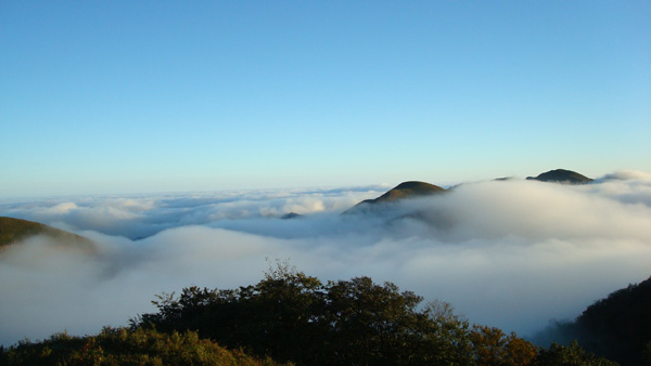 南宫森林公园由红阳景区和南宫景区两大景区组成，公园内有植物有674种，其中药用植物413种，观赏植物261种，国家I级保护植物有南方红豆杉、伯乐树(钟萼木)等;野生动物有178种，国家I级保护动物有白颈尾雉1种，国家Ⅱ级保护植物有鸳鸯、雀鹰、猕猴、黑熊、金猫等28种。森林公园内的主要的自然人文景观:翁密河漂流、红阳万亩草场、原始森林、独特的民族风情等等。